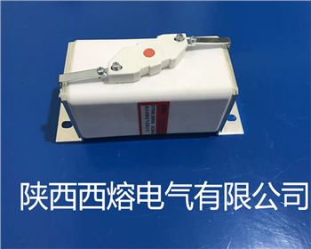 四川低壓快速熔斷器